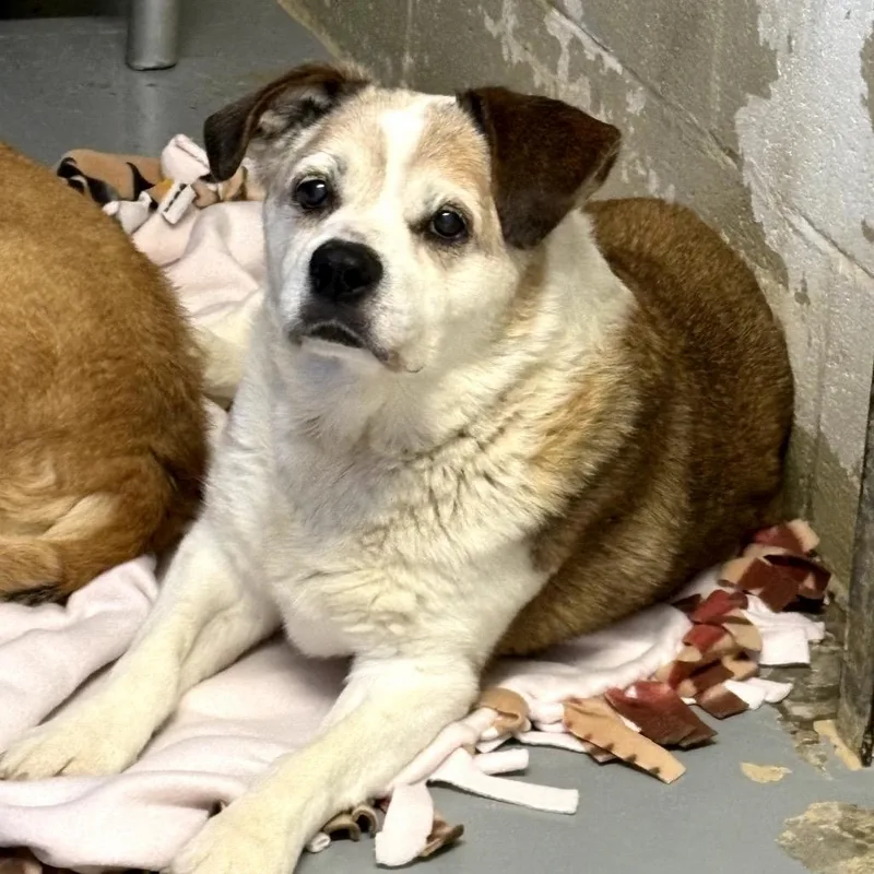 Ugga Bonded With Eep thumbnail 2