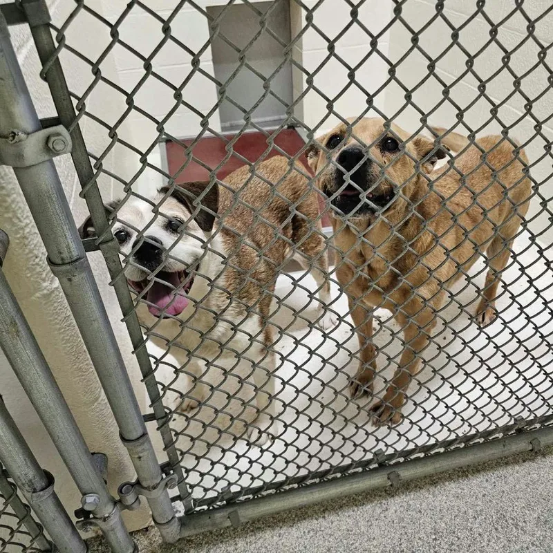 Ugga Bonded With Eep thumbnail 3