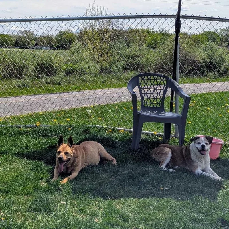 Ugga Bonded With Eep thumbnail 4