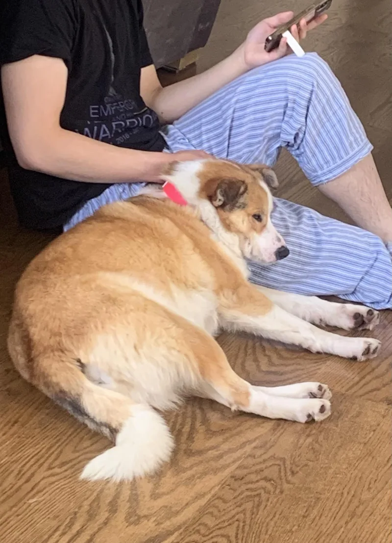 Honeybun thumbnail 2