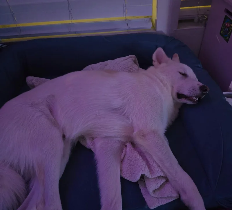 Scratch thumbnail 4
