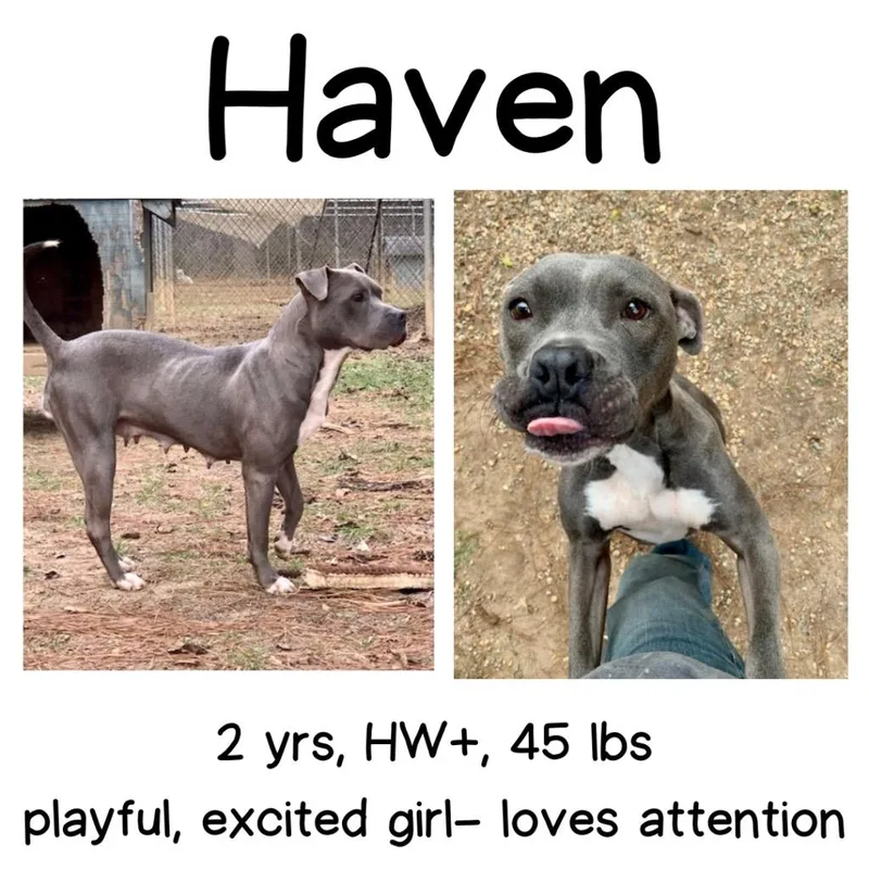 Haven thumbnail 2