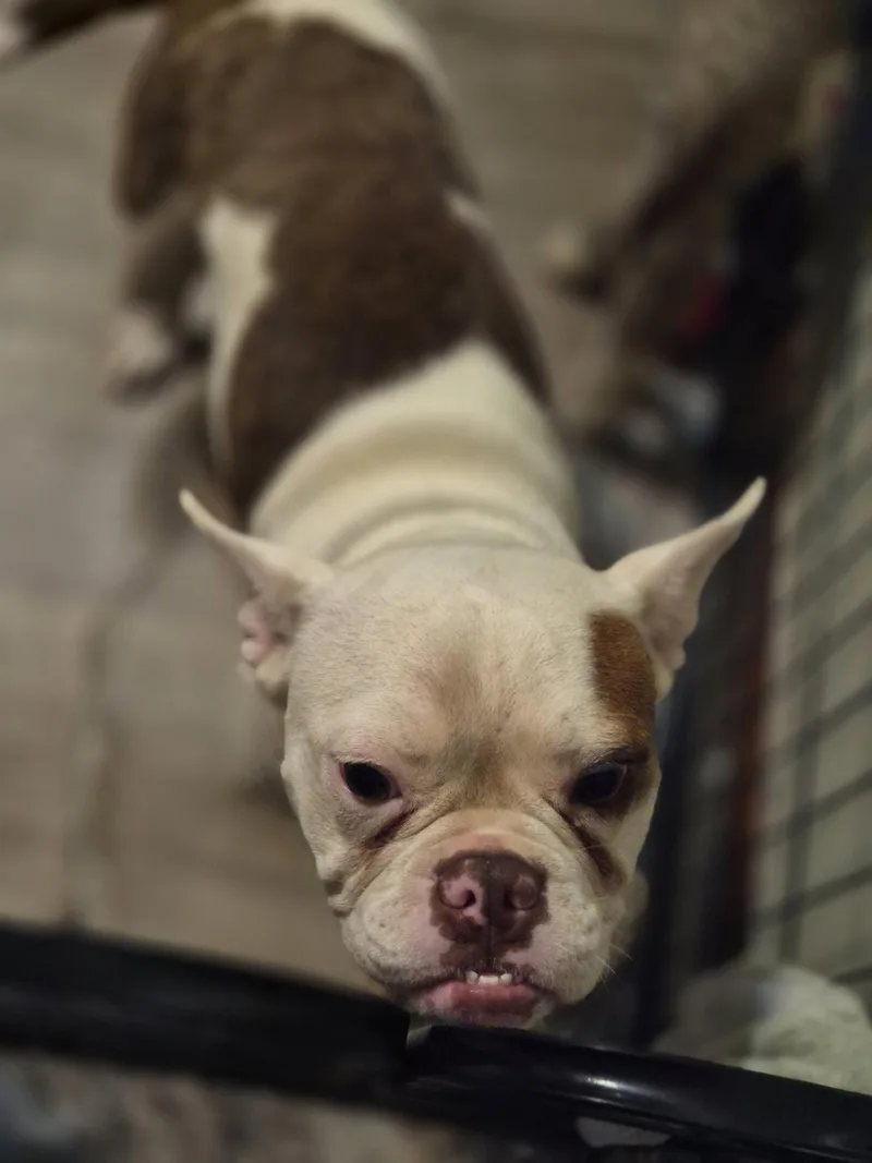 Ginny