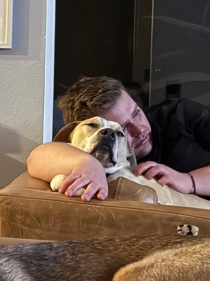 Milo thumbnail 5