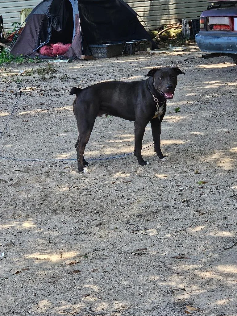 Cooper
