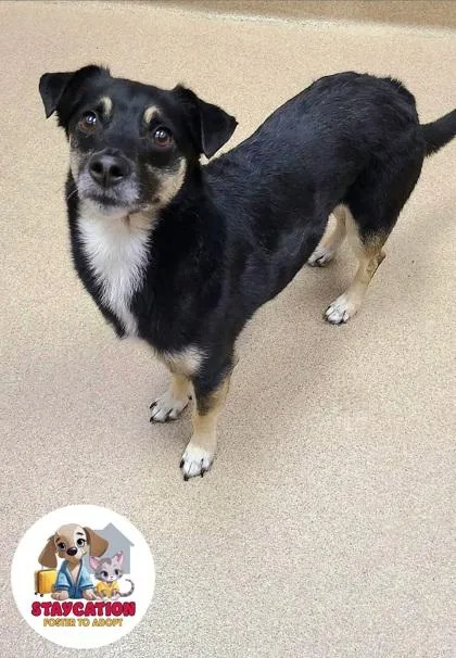Paco