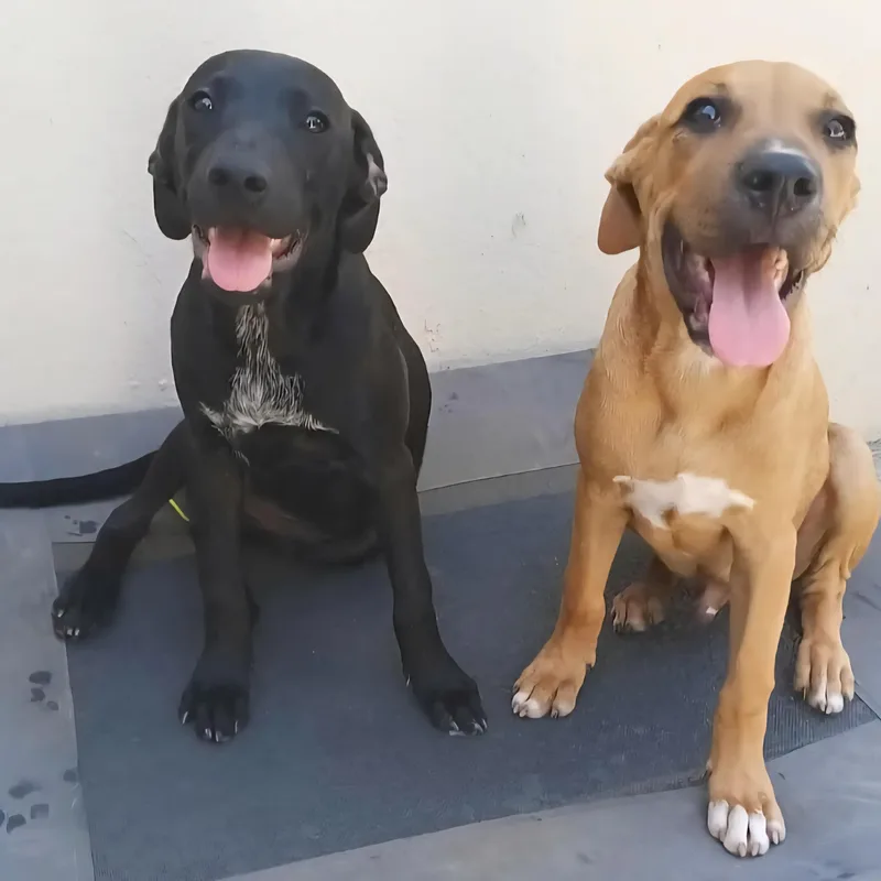 Nubia "ready To Love!" thumbnail 2