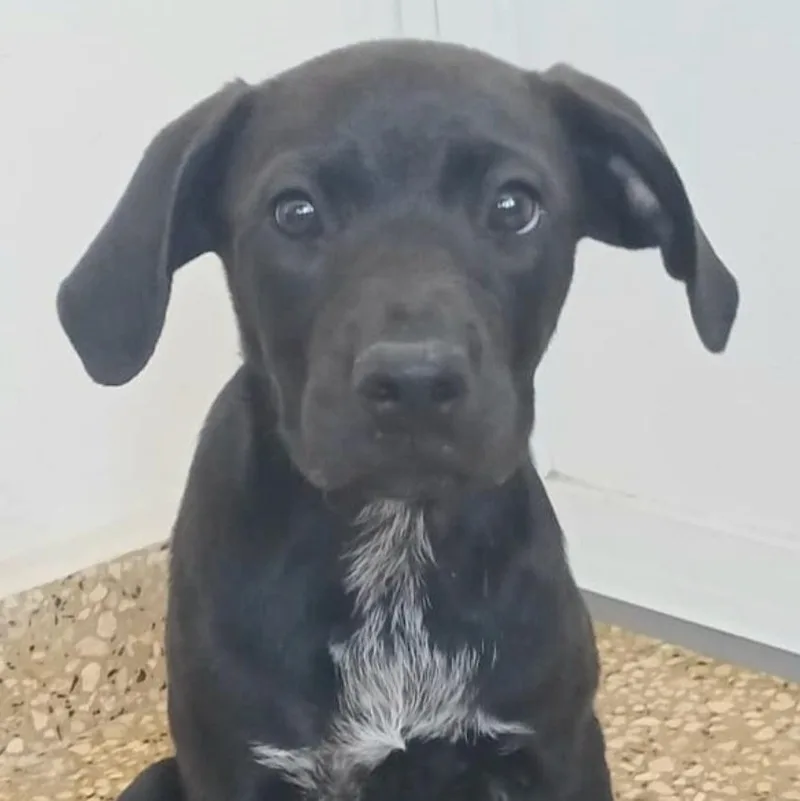 Nubia "ready To Love!" thumbnail 3