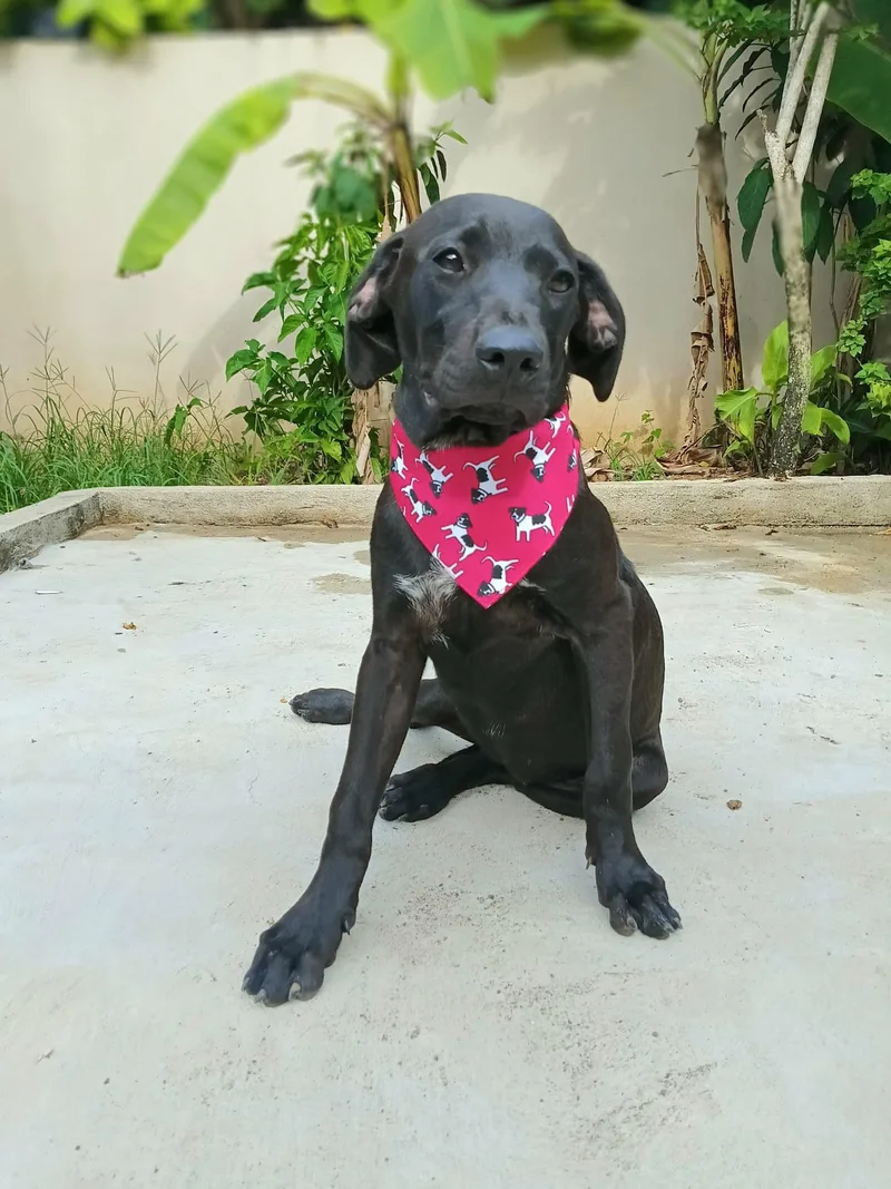 Nubia "ready To Love!"