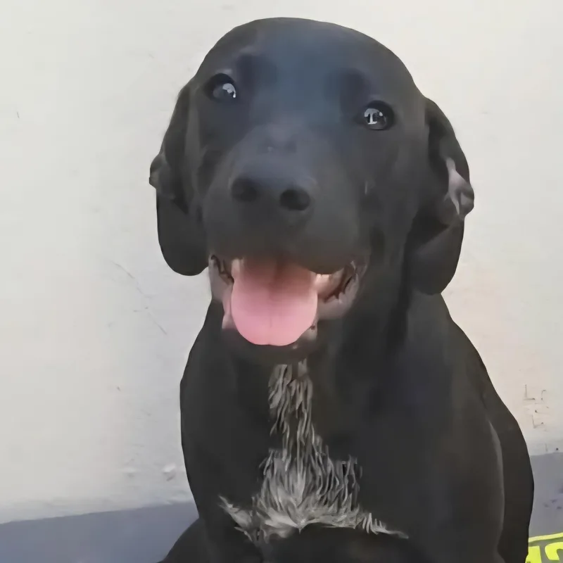 Nubia "ready To Love!" thumbnail 5