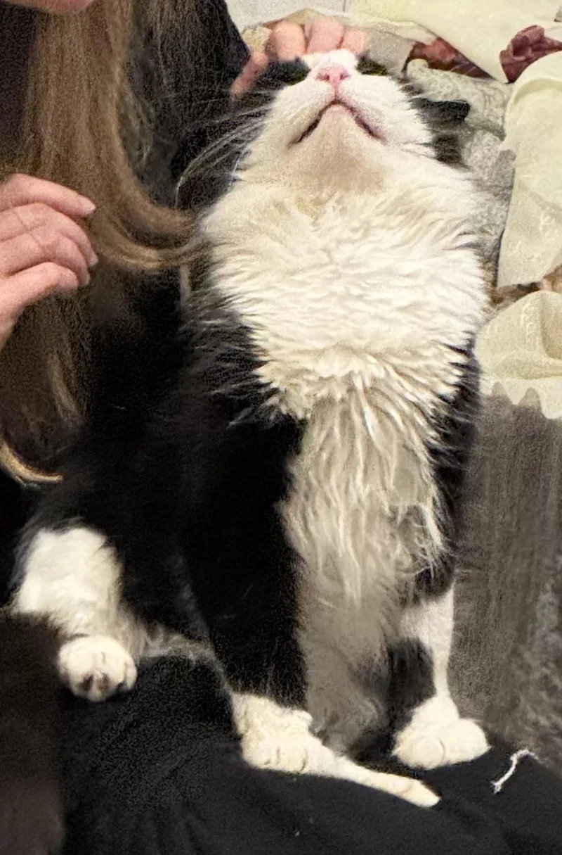 Philippe thumbnail 2