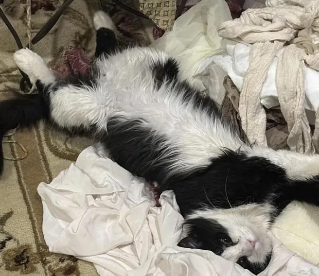 Philippe thumbnail 3