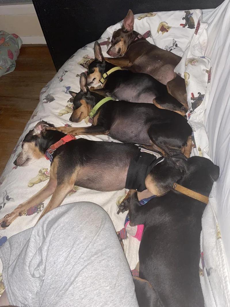 Will & Grace thumbnail 5