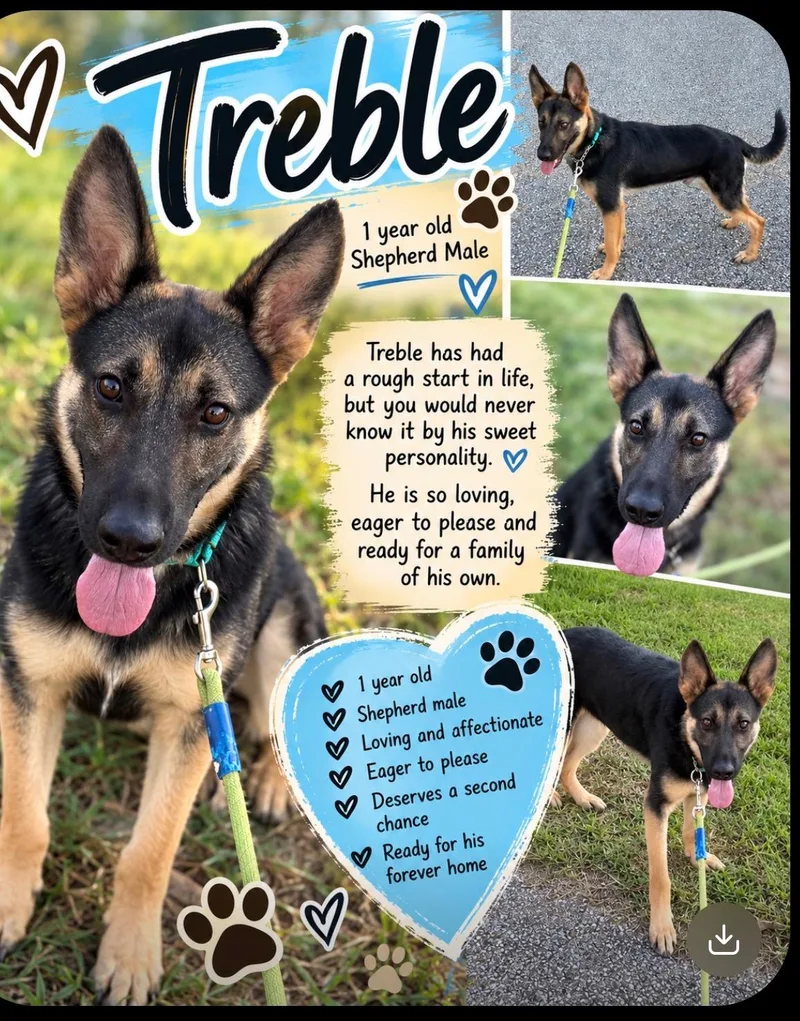 Treble thumbnail 3
