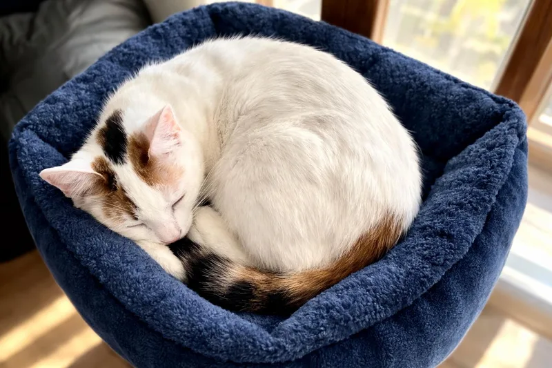 Meredith Grey thumbnail 4