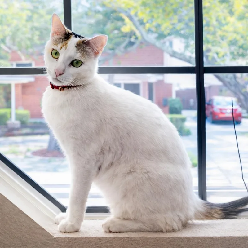 Meredith Grey thumbnail 5