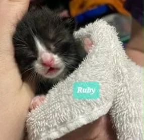 Ruby