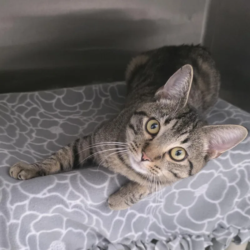 Jack Abbott thumbnail 2