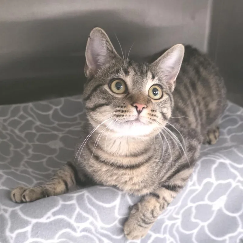 Jack Abbott thumbnail 3