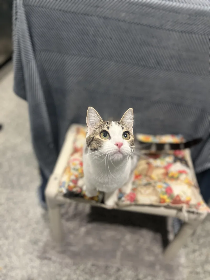 Marie & Emily thumbnail 4