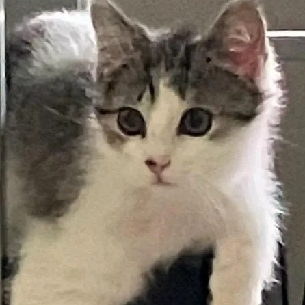 Baby Bleu thumbnail 2