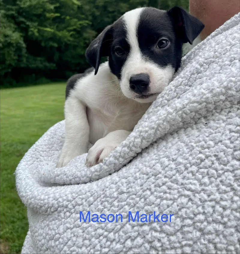 Mason Marker thumbnail 2