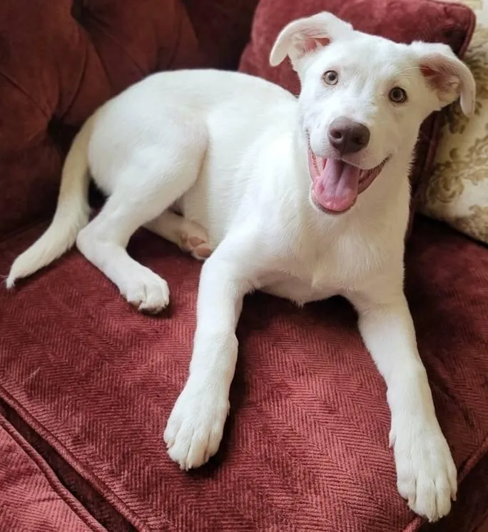 Princess Peach thumbnail 2