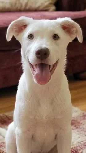 Princess Peach thumbnail 3