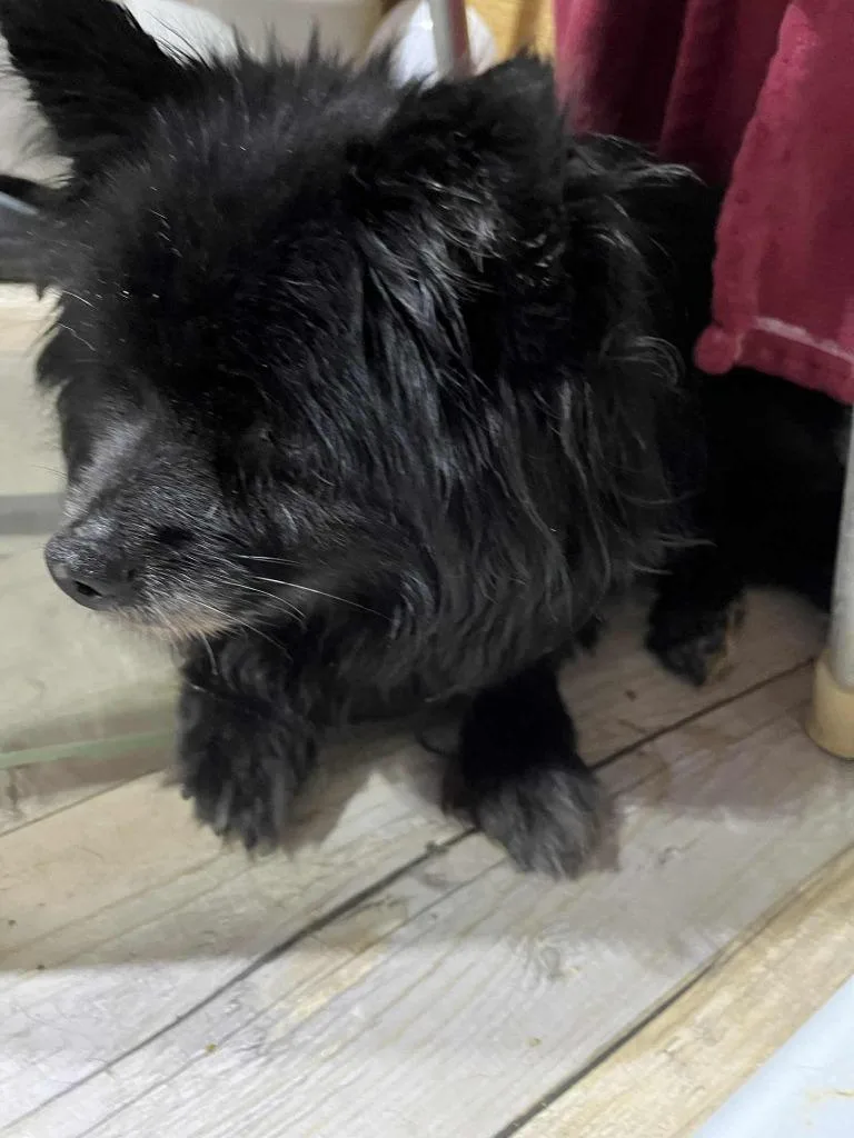 Lexi  Hospice thumbnail 2