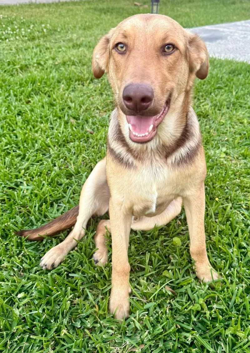 Maverick thumbnail 2