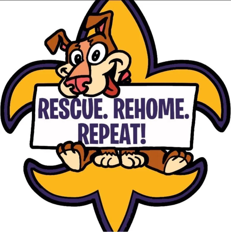 Maverick thumbnail 3