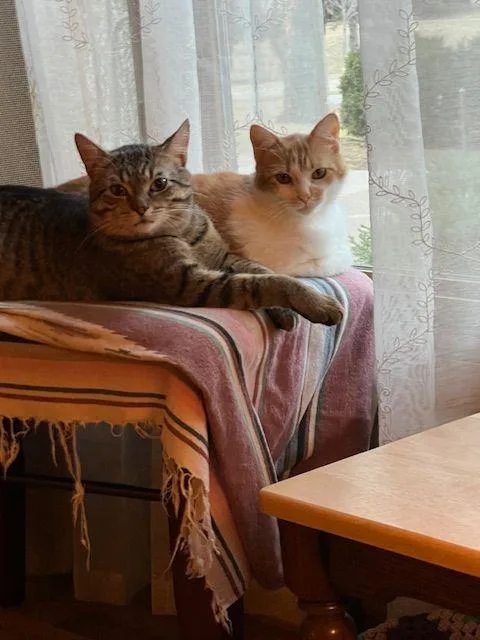 Lucy Lou thumbnail 2