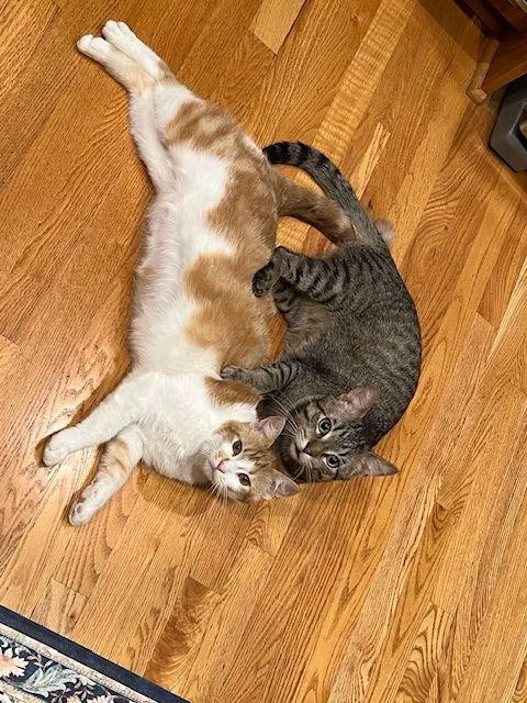 Lucy Lou thumbnail 3