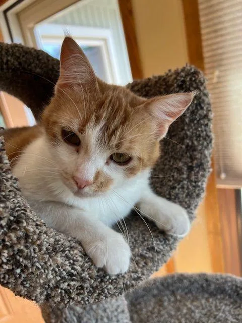 Lucy Lou thumbnail 6