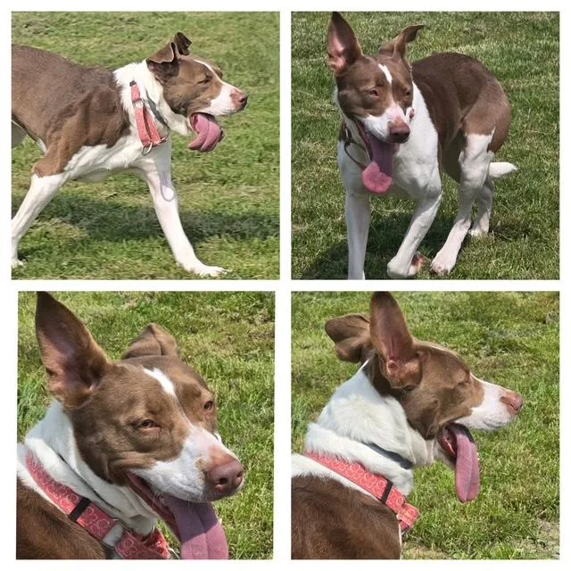 Linda In Prison Program thumbnail 2