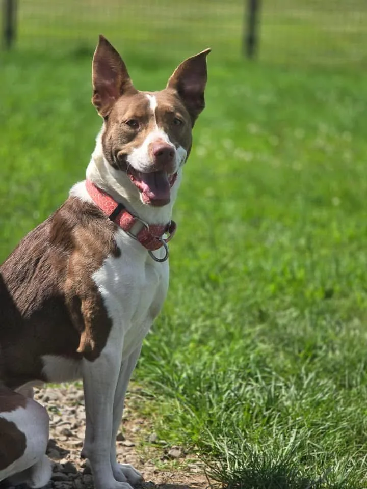 Linda In Prison Program thumbnail 6