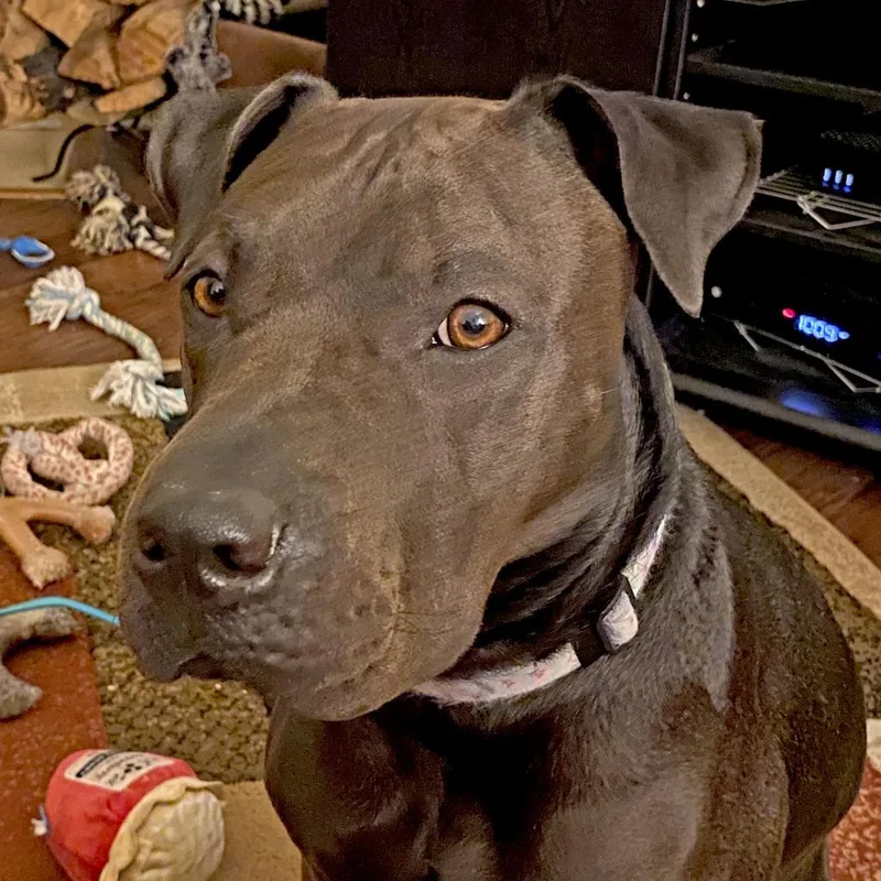 San Jose thumbnail 5