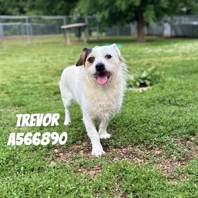 Trevor