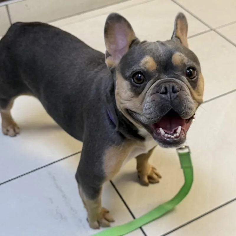 Minnie thumbnail 4