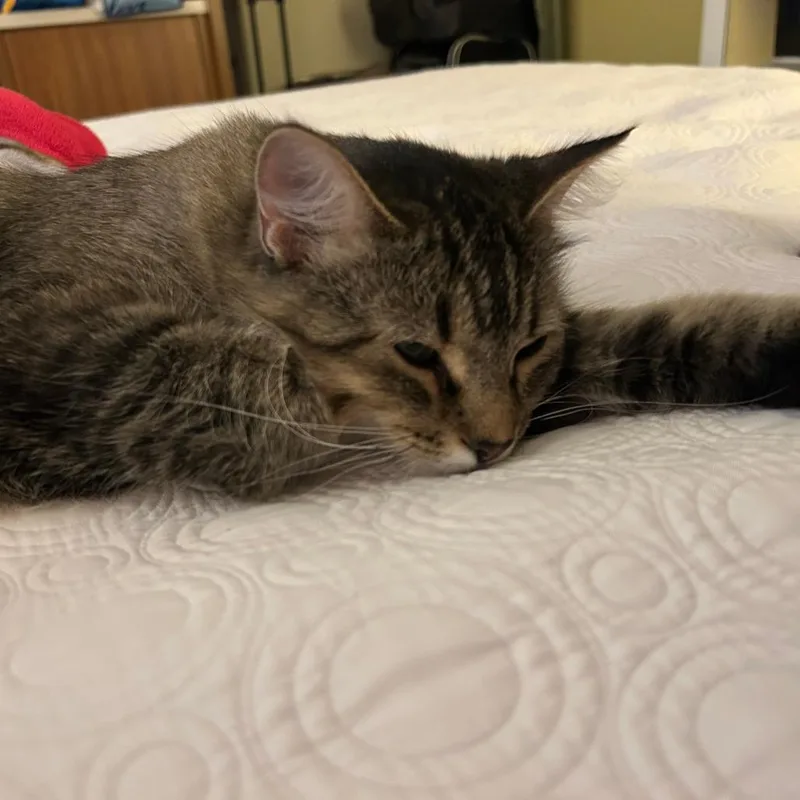 Willa Mae thumbnail 2