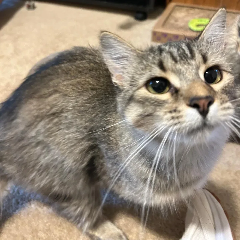 Willa Mae thumbnail 3