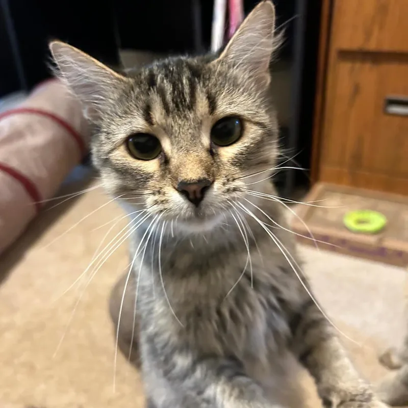 Willa Mae thumbnail 4