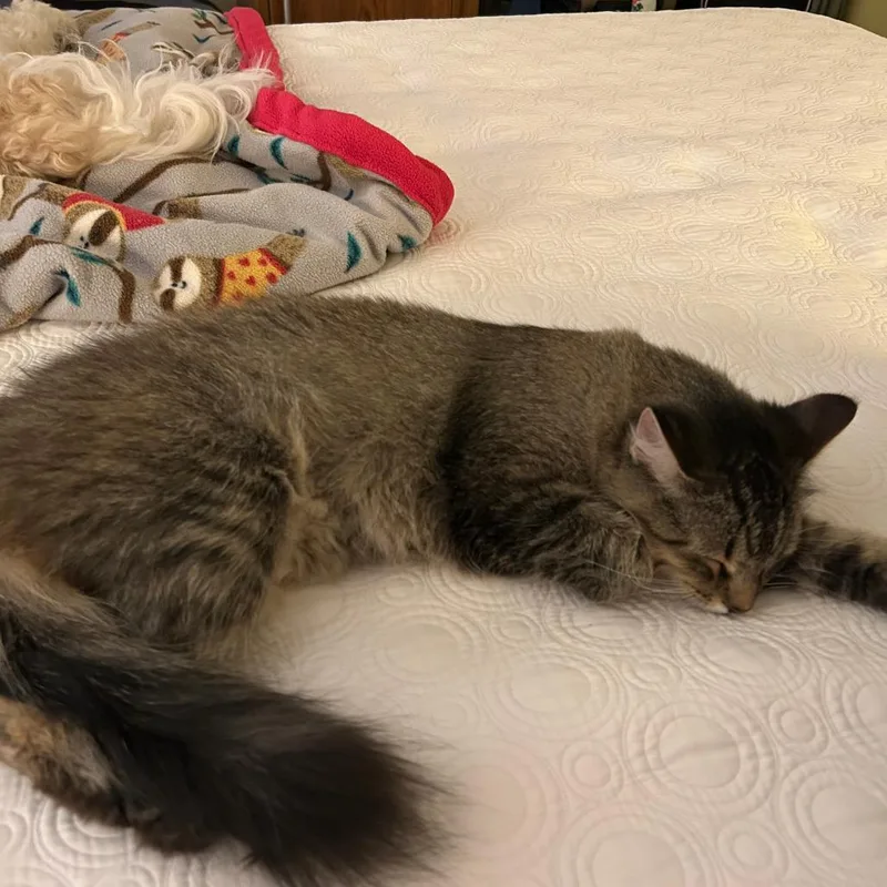 Willa Mae thumbnail 5