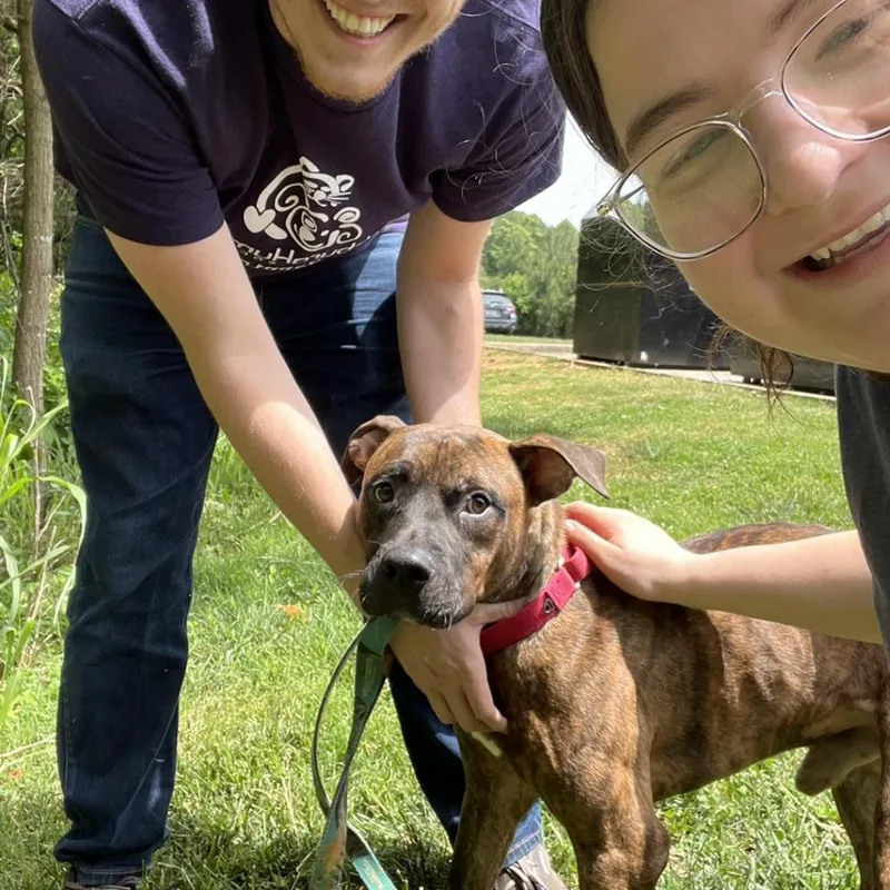 Tater Tot thumbnail 3