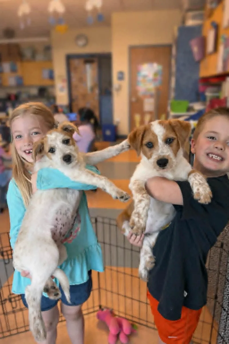 Cinnamon thumbnail 5