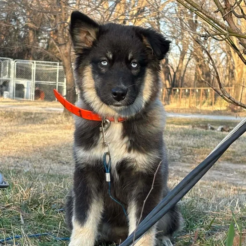 Bette Davis thumbnail 2