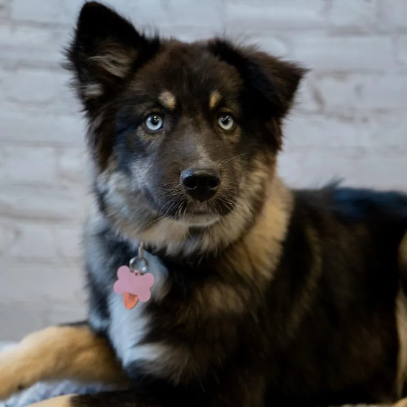 Bette Davis thumbnail 4