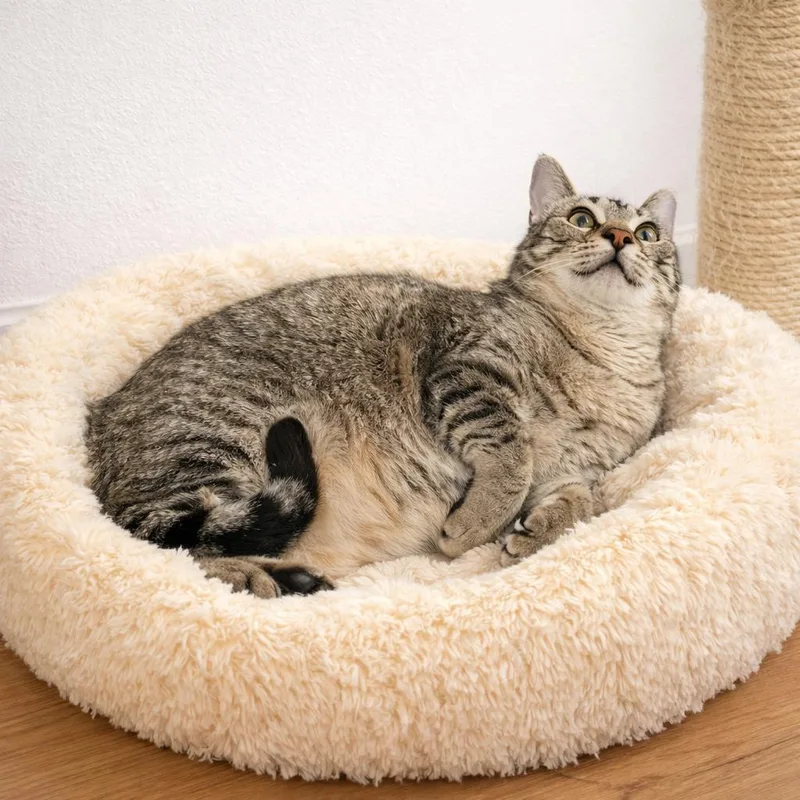 Leviathan thumbnail 3