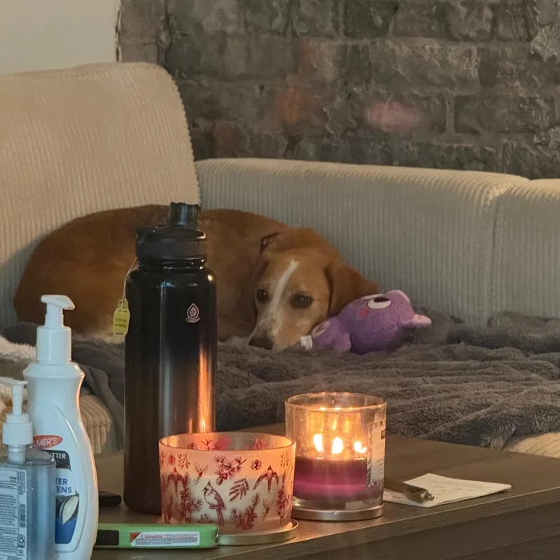 Maisy Mouse thumbnail 2