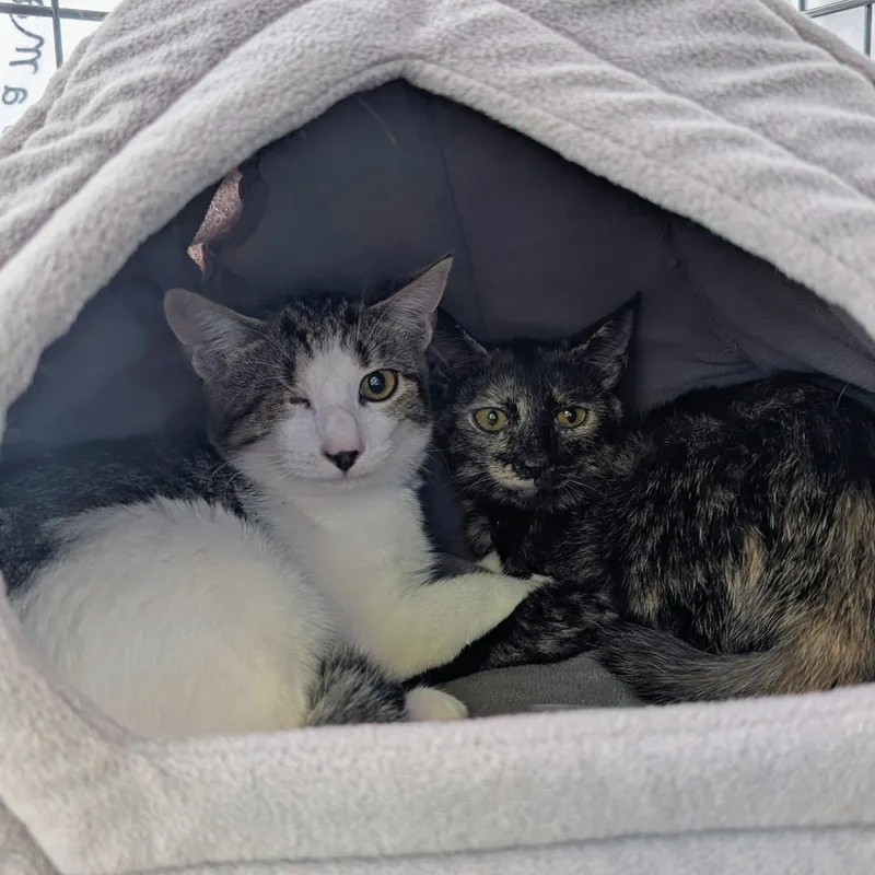 Edward "eddie" Teach thumbnail 5